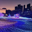 해운대 불꽃축제 이미지