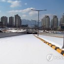 동서대로 이미지