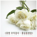 이바담그룹의원 이미지