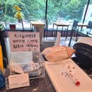 우아한 느림