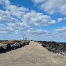 거기벵디 | 오션뷰 대형카페 레이오버 layover | 제주동쪽 산책명소 오저여 | 제주동부 오션뷰 맛집 벵디 방문후기