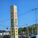 황금오리하우스 | [사천 맛집] 사남 오리하우스 : 오리불고기 내돈내산 후기
