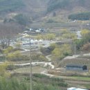 산수유고장