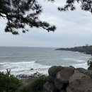 부부요리단 | 숨은 제주 연동 맛집 발견! 부부요리단 장어덮밥·갑오징어볶음 솔직후기