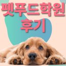 꿈많은공부벌레학원 | 1인 창업의 시작! 펫푸드학원후기가 알려주는 실전 노하우