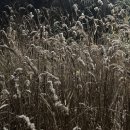 세븐일레븐 속초시외터미널점 이미지