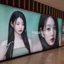 하파크리스틴 타임스퀘어점 이미지