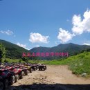 동강포도원펜션 이미지