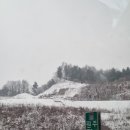 솔숲펜션 이미지