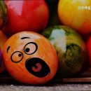 김성배힐링홈요양원 이미지