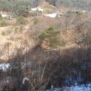 무릉도원면-1 이미지