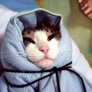 충남상회 이미지