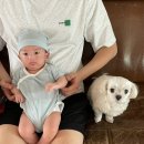 하늘무지개어린이집 | 13개월 아기 401일-410일 : 친구랑 캠크닉, 루비야 잘가, 형아네 텃밭 , 여름준비
