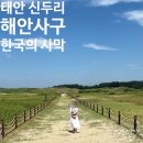 한국교통광고충남지사 | 태안 신두리 해안사구 한국의 사막 인생샷 보장 반려동물 주차 정보