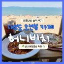 대부도 오션뷰 애견동반 실내 가능한 카페 허니비치 내돈내산 후기