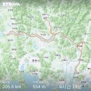 [코리아 랜도런스] 퍼머넌트 45 평지 축제