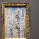 고래동물병원 | 미국에서 일본으로 넘어온 철새 진솔이 일상