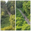 대주민박 이미지