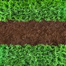 기준농장 이미지