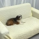 부용로 | 의정부왁싱 의정부브라질리언 의정부눈썹 &#39; 글루아 의정부점 &#39;에서 등 왁싱 받은 후기