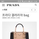 폴주니어 네이버블로그