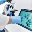 베스트오브미여성의원 이미지