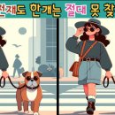 강아지와 산책 이미지