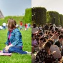 대숲죽녹원민박 이미지