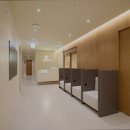 비올라셀성형외과의원 | [강남 강남구 성형외과} 비올라셀성형외과의원 강남 비올라셀성형외과, 뛰어난 수술 실력으로 보답합니다