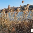 영강파크골프장 이미지