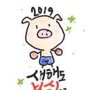 와룡복싱 이미지