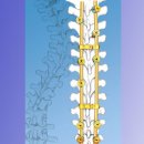김정수여러분병원 이미지