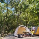 비슬산휴양림캠핑장 이미지