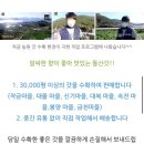 돌산농원 이미지