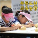 태극인 허브 이미지