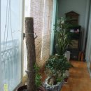 고향산장 이미지