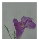 행복 빛으로부터 이미지