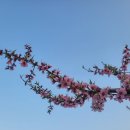 밀알행복한홈스쿨지역아동센터 | 지역아동센터 아이들과 부모님들이 행복하길 응원합니다!