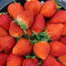 블라썸여좌 사회적협동조합 이미지