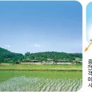 (주)시루산 이미지