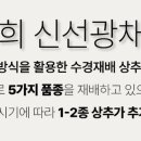 광채농장 네이버블로그
