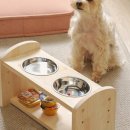 펫클라우드 이미지