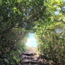 송호파크 이미지