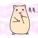 진숙맛집 이미지