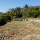 숫골농장 네이버블로그