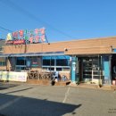 엠티브이21로 이미지