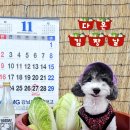 다온멍스쿨 이미지