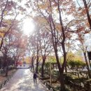 나를위한부동산공인중개사사무소 이미지