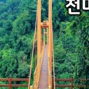 마금힐 이미지