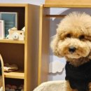 수원-0578 이미지